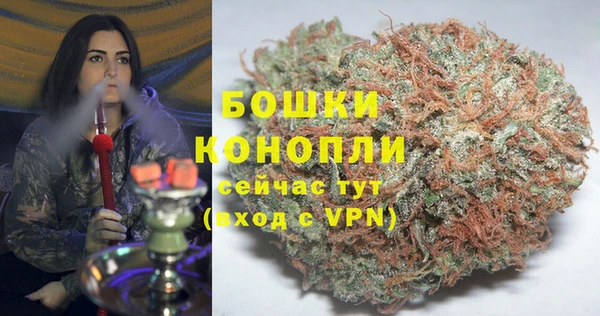 твердый Богородск