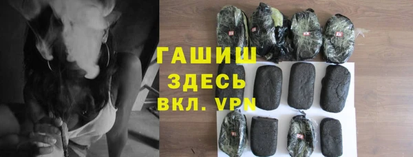 гидра Богданович