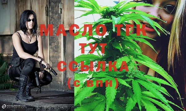 гидра Богданович