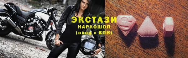 гидра Богданович