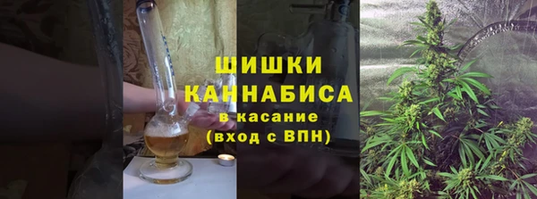 гидра Богданович