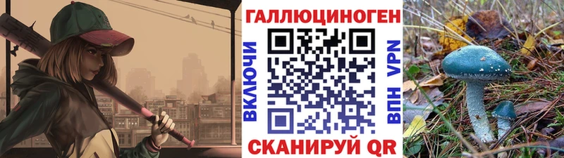 Псилоцибиновые грибы GOLDEN TEACHER  где можно купить наркотик  Тихвин 